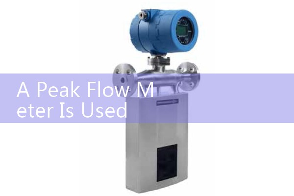 A Peak Flow Meter Is Used to Measure: Conceptual overview of bronchial capacity tracking.